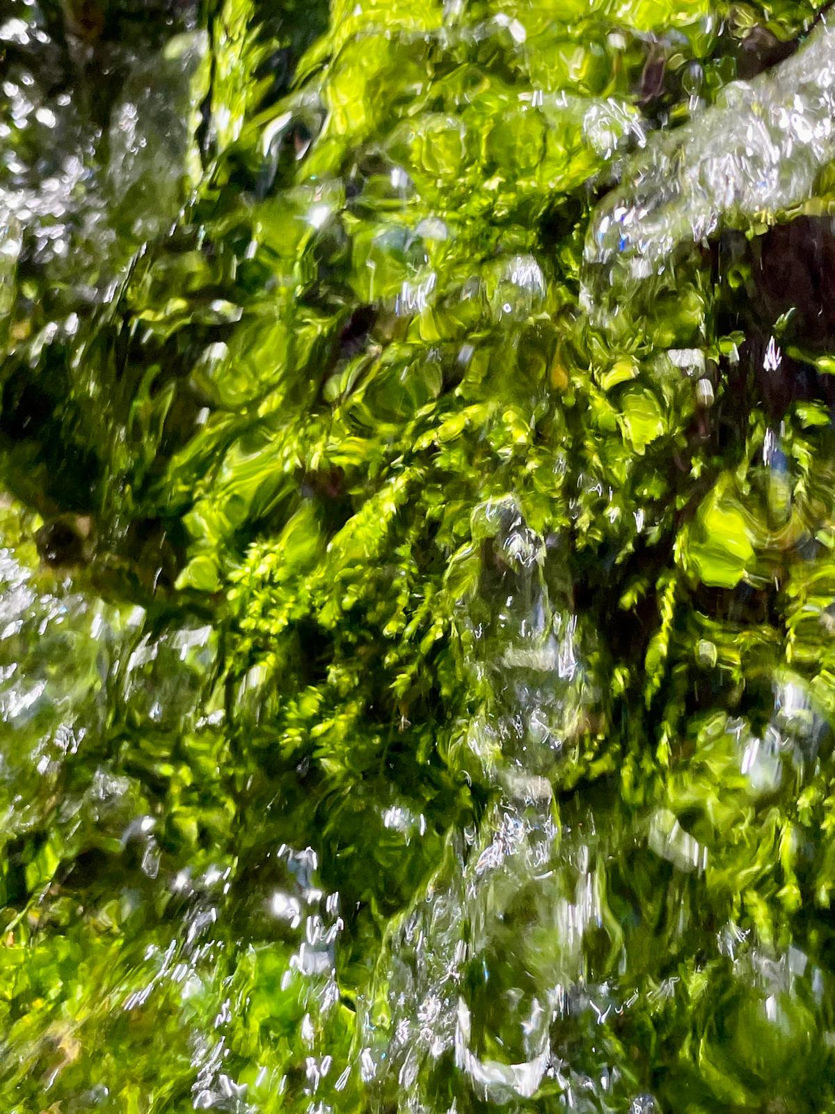 Corps et histoire - Soin osteothaï et photographe - Eva Tissot Jongenburger